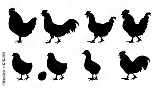 Chickens in pasture silhouette farm pets.