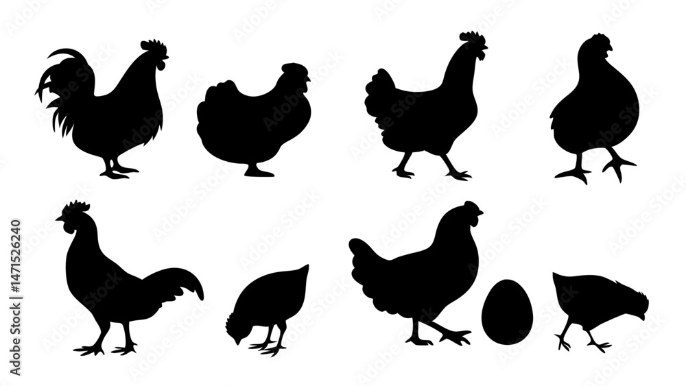 Obraz premium Chickens in pasture silhouette farm pets.