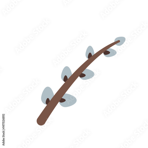 Illustration of a single pussy willow branch with soft buds against a plain white background art design