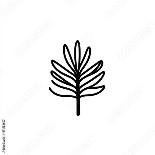 Simple palm frond line art, white background, nature design, website icon