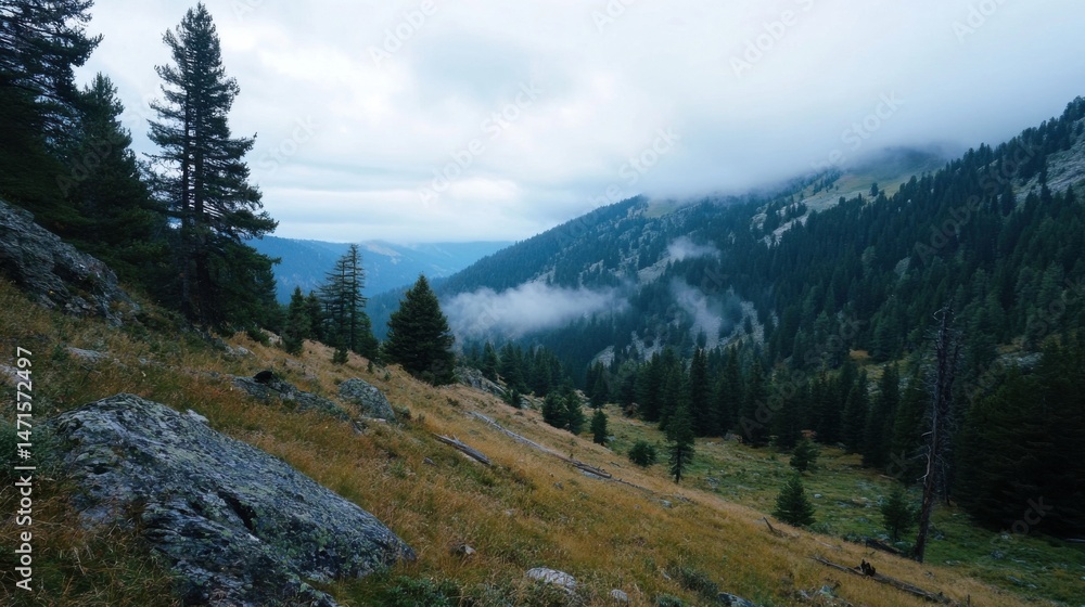 Misty mountain valley with coniferous forest, showcasing a serene landscape of tall evergreen trees and rocky slopes under a cloudy sky. : Generative AI Misty mountain valley with coniferous forest, showcasing a serene landscape of tall evergreen trees and rocky slopes under a cloudy sky. : Generative AI
