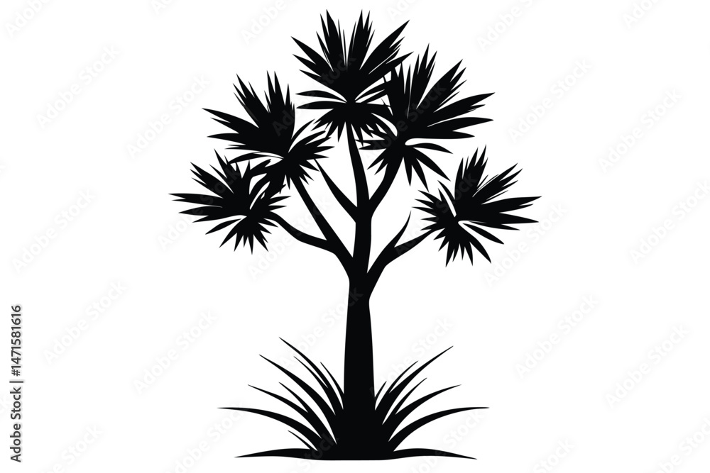 Fototapeta premium Silhouette tree shows spiky leaves and lush grass, creating a stark contrast