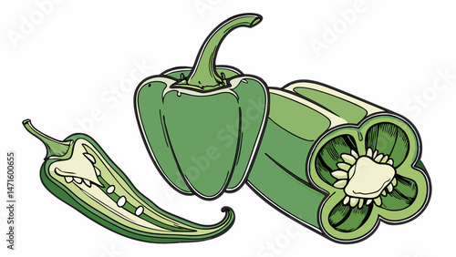 Vector art shows healthy green pepper, a fresh vegetable and organic food illustration