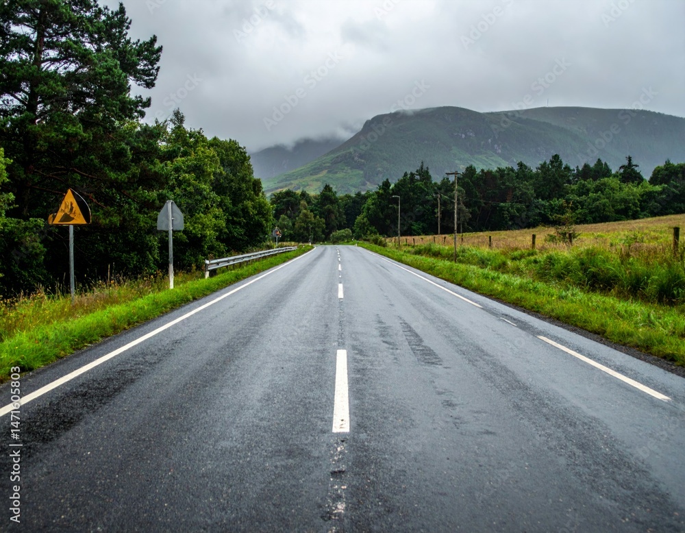 Fototapeta premium Serene Wet Road Under Cloudy Sky Amidst Lush Green Landscape
