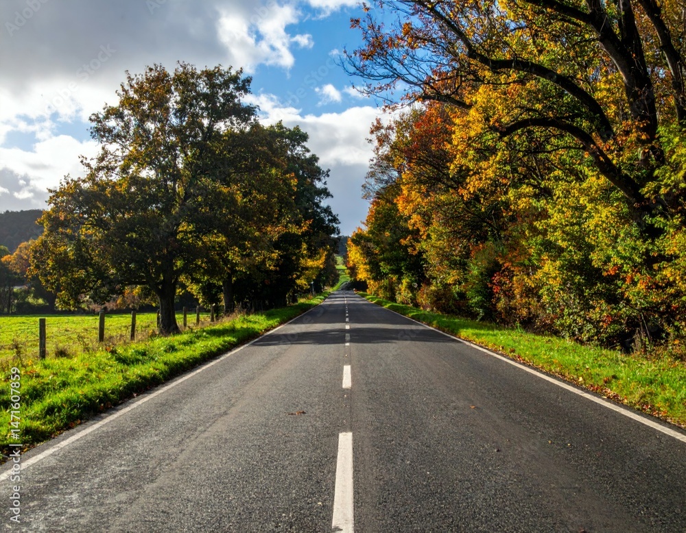 Fototapeta premium Serene Autumn Road Surrounded by Colorful Trees and Blue Sky