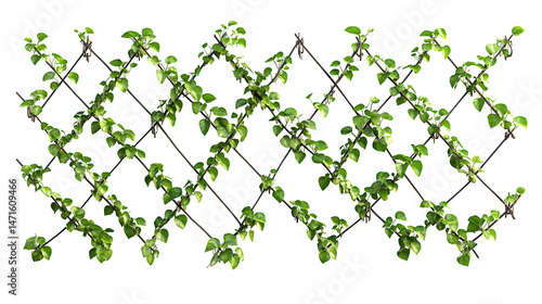 Wall mounted wire trellis system for espalier fruit trees, diamond pattern wires with tensioners, photorealistic image, isolated on transparent  background