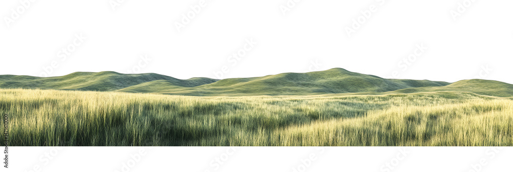 green grassland landscape isolated on white
