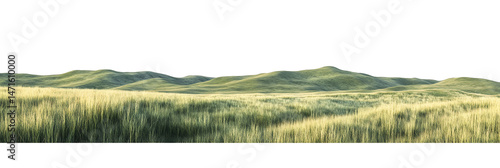 green grassland landscape isolated on white 