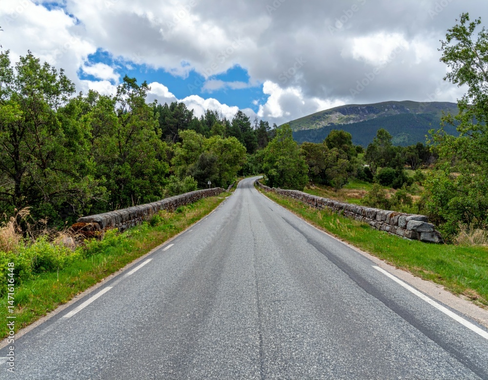 Fototapeta premium Scenic Empty Road Through Lush Green Landscape Under Cloudy Sky