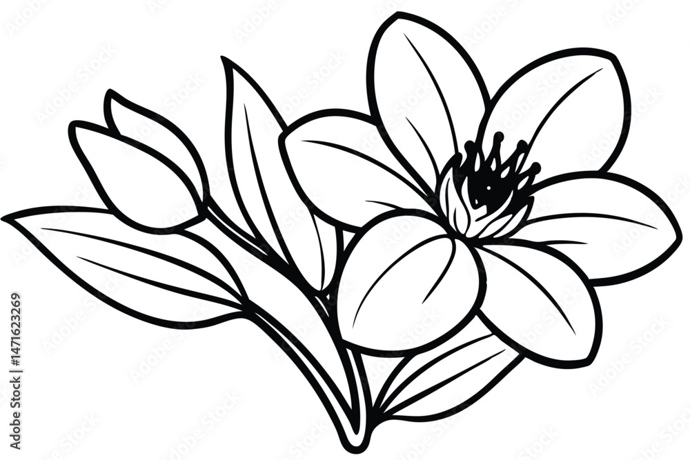 Fototapeta premium Black outline depicts a beautiful flower blossoming with buds, offering botanical elegance in monochrome