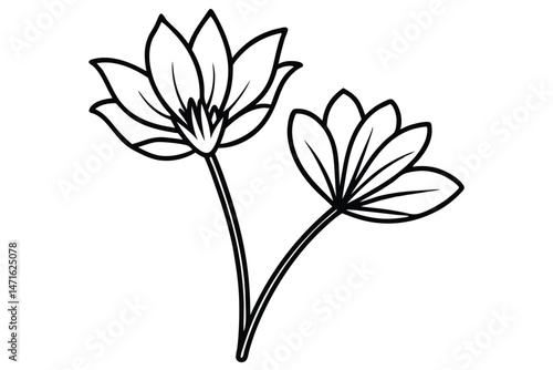 Two delicate outlined floral designs exhibit clear, defined petals on white expanse