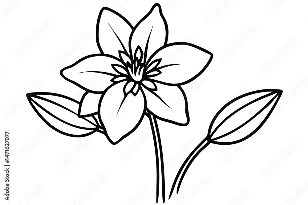 Fototapeta premium Detailed outline portrays a blossom with six petals and elongated leaves in monochrome