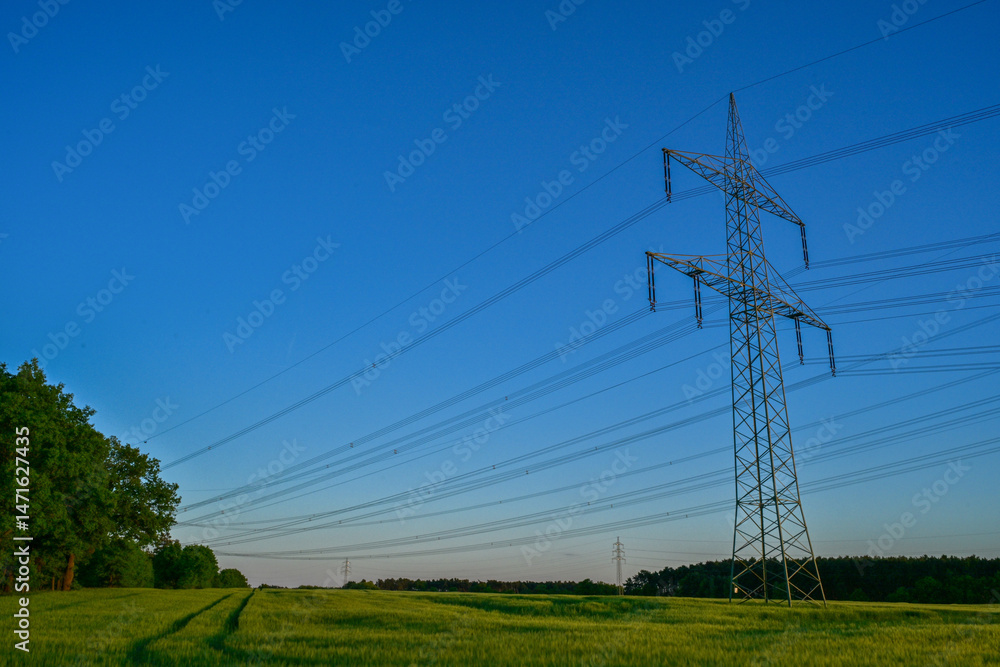 Power poles in spring on the field and meadow, Brandenburg, Germany Power poles in spring on the field and meadow, Brandenburg, Germany