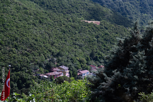 Charming Village Nestled in the Heart of a Forest