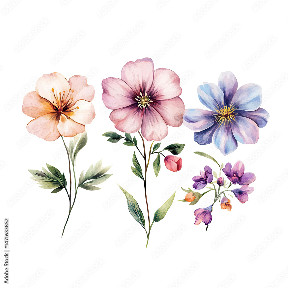 Fototapeta premium Floral design with pastel flowers