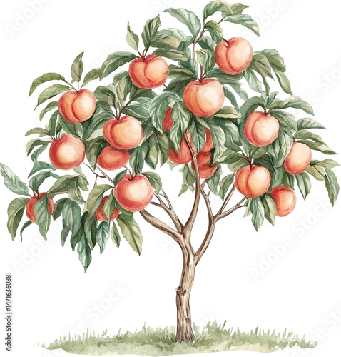 Watercolor Peach Tree with Ripe Fruit and Lush Green Leaves