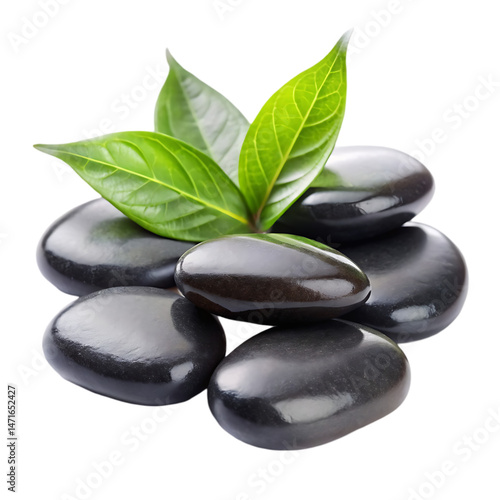 Zen Stones and Leaves: Spa Relaxation Background Image