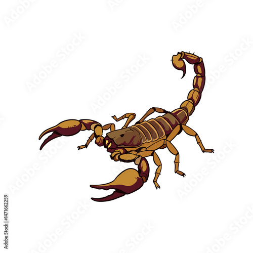 scorpion vector illustration on white background
