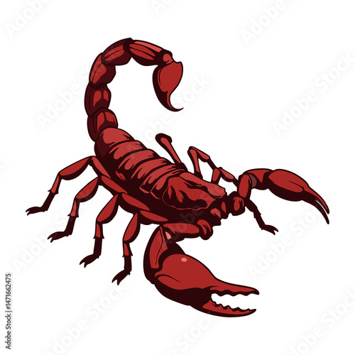 scorpion vector illustration on white background