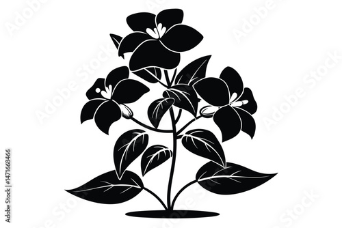 Monochrome floral depiction showcasing an elegant bloom set against a stark white backdrop, creating contrast