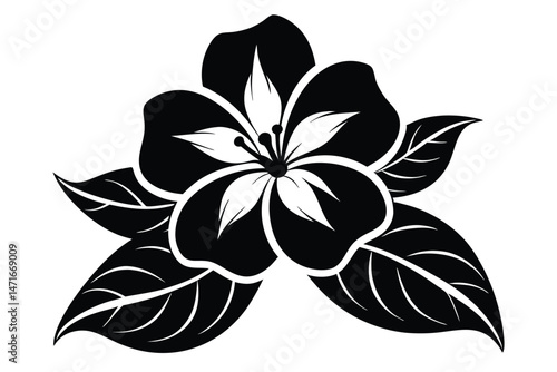 Isolated black and white flower blooms with six leaves and delicate petals for artistic touch