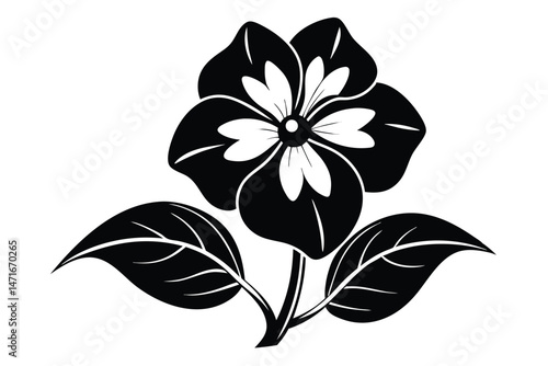Black flower with elegant white center and leaves displays an ornamental pattern