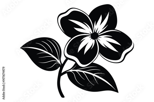 A striking black dogwood blossom is complemented with two beautifully stylized leaves
