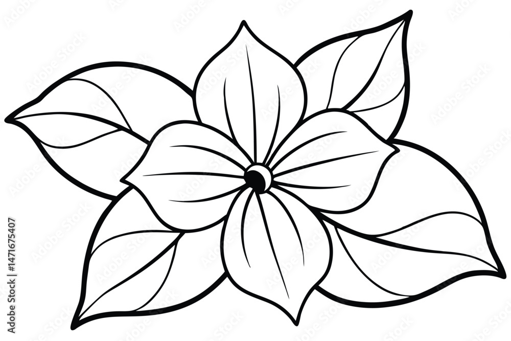 Fototapeta premium Outlined flower with rounded petals and leaves radiates simplicity and understated elegance