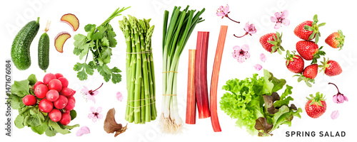 Spring salad vegetables photography collection isolated. PNG with transparent background. Flat lay. Without shadow.