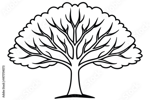 Outlined deciduous tree displays a detailed canopy and solid trunk in monochrome