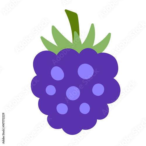 Blackberry berries hand drawn vector illustration