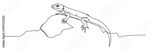 Minimalist lizard lounging on rock, reptile wildlife illustration