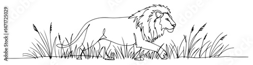 Line art lion prowling through tall grass, savanna predator