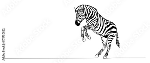 zebra in upright pose with stripes, elegant line vector of wild animal in black and white