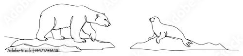 polar bear and seal vector illustration in one line style, black and white arctic wildlife drawing