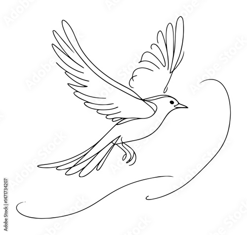 flying bird line drawing vector