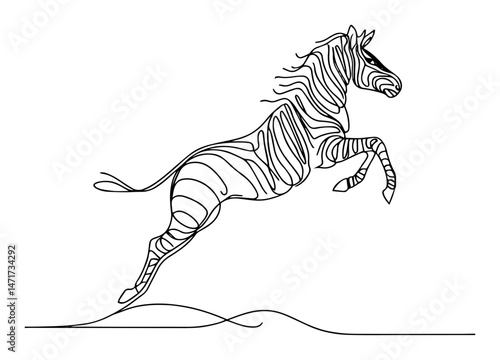 zebra vector drawing in one line
