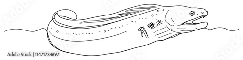 black and white vector sketch of an eel in minimalist marine illustration style