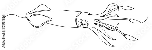 squid in one line continuous drawing, abstract marine animal vector, black and white style