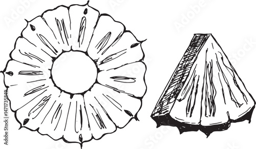 Pineapple slice and wedge illustration