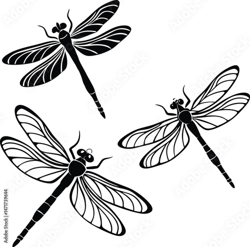 dragonfly vector set