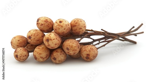 Cluster of small, light brown, round fruits with speckled brown spots on a twiggy stem