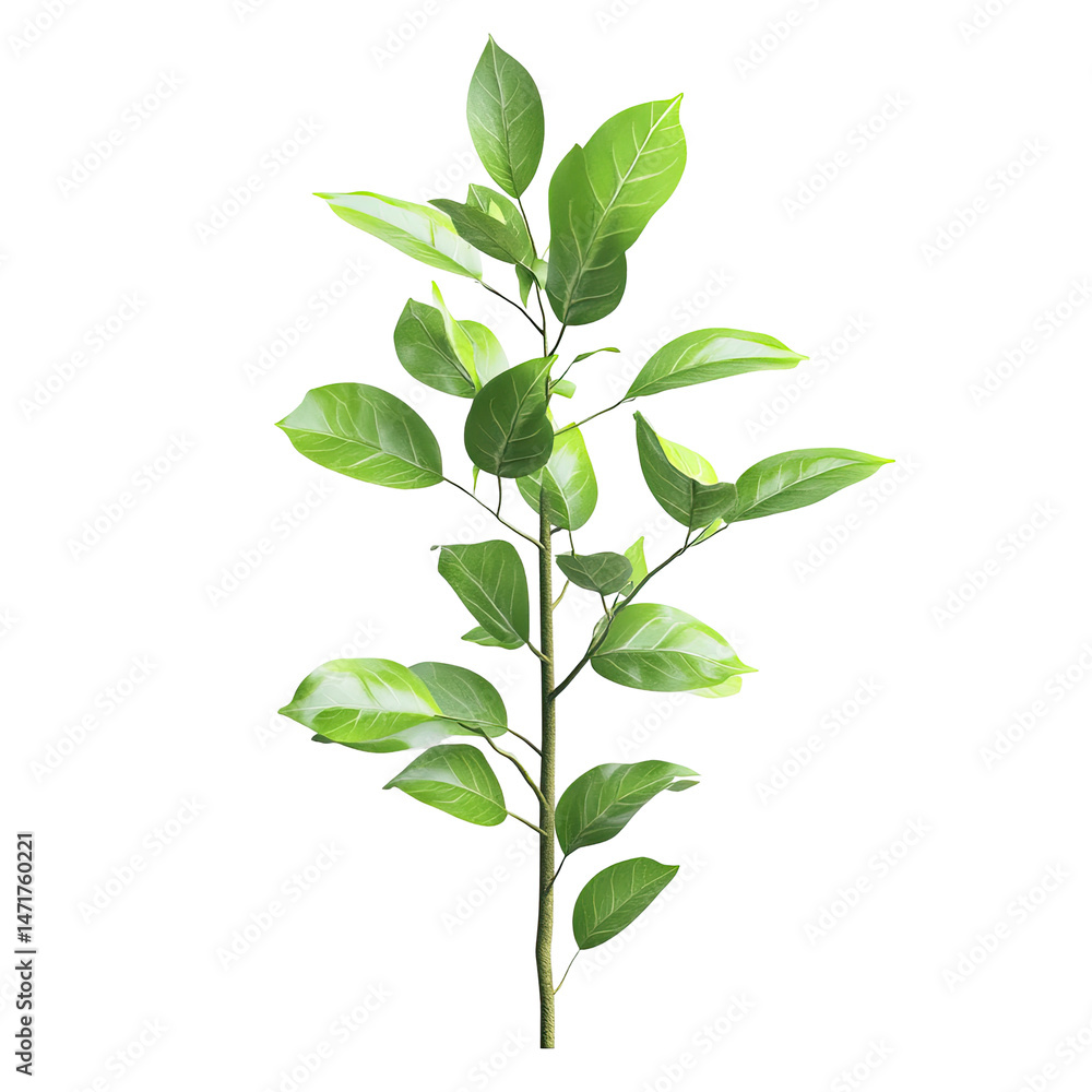 Obraz premium Green plant sprout