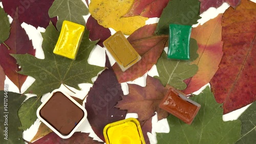 Watercolor paints in small jars are on various multicolored autumn leaves, fall color palette, background