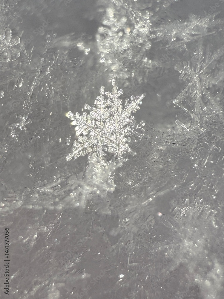 Fototapeta premium macro snowflake ice crystals present natural