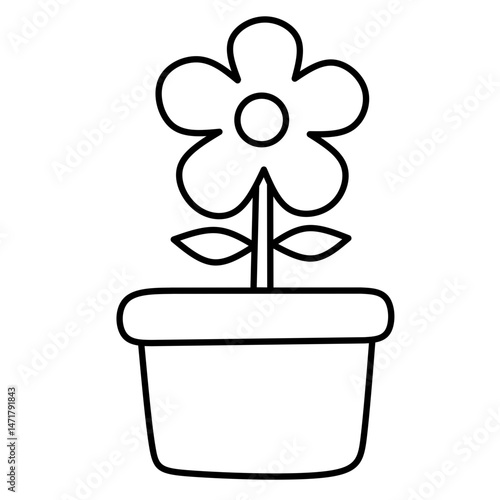 flower in a pot