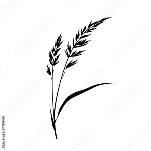 Black and white grass illustration, nature design, simple background, for website decoration