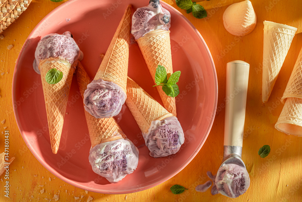 Homemade and tasty blueberry ice cream as a summer dessert.
