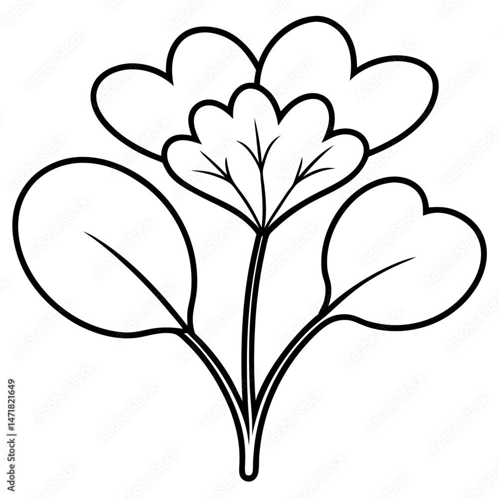 Obraz premium Watercress outline vector