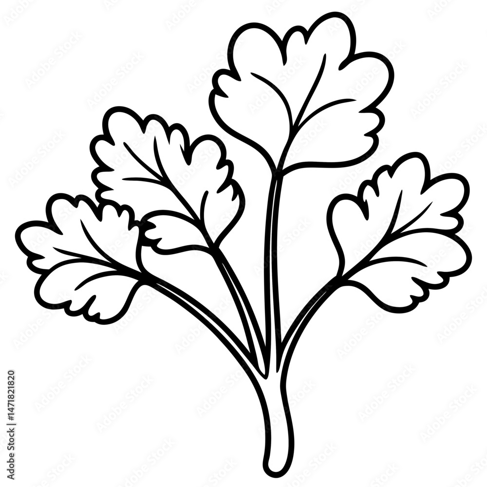 Obraz premium Watercress outline vector